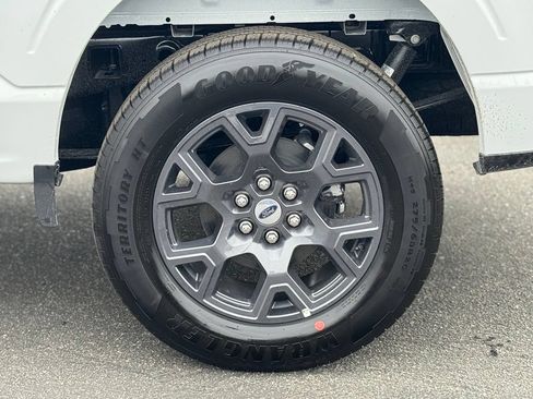 New 2026 Ford F150 STX w/ Equipment Group 200A RWD image 19