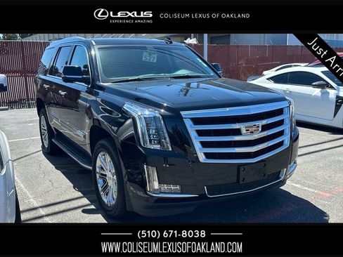 Used 2019 Cadillac Escalade 4WD image 1