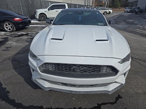 Used 2021 Ford Mustang Coupe w/ Equipment Group 101A image 2