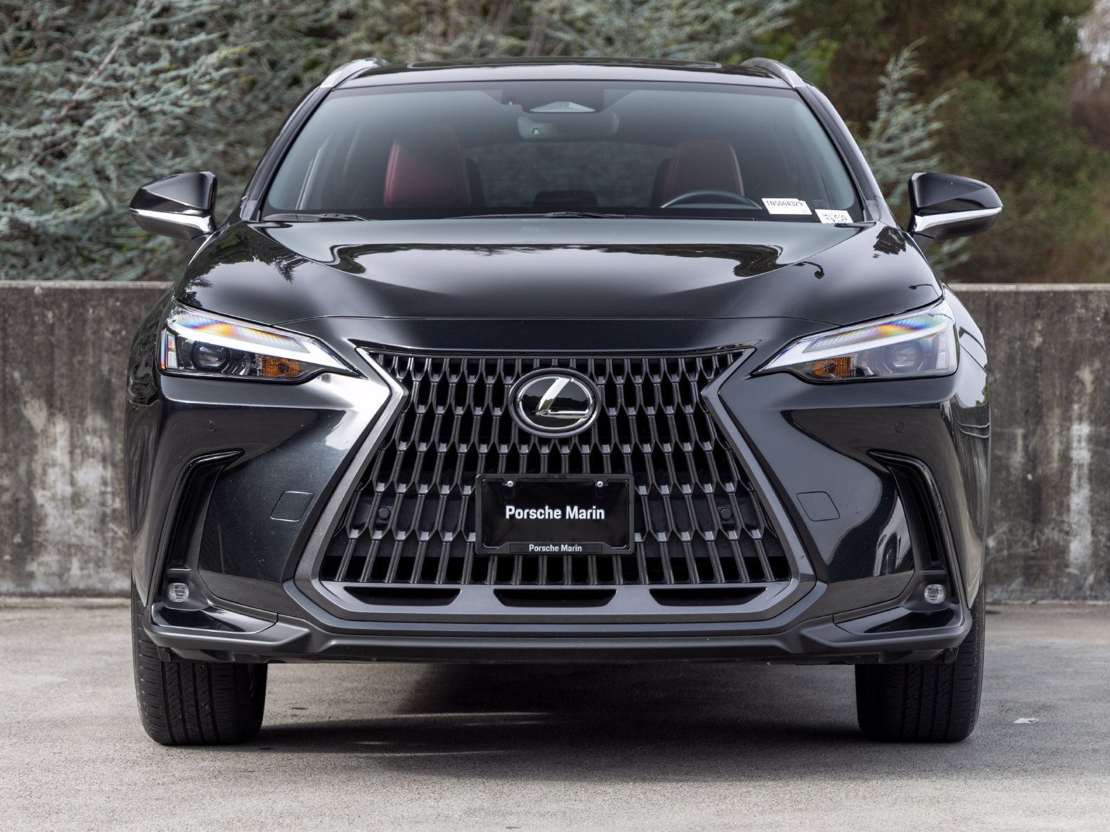 Used 2022 Lexus NX 350h AWD image 8