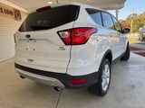 Used 2019 Ford Escape SE image 3