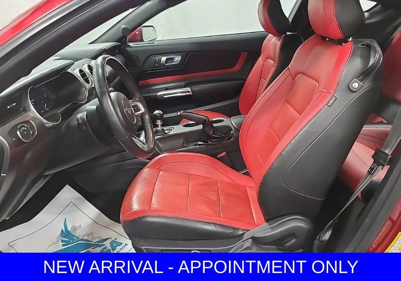 Used 2018 Ford Mustang Premium w/ Equipment Group 201A RWD image 8
