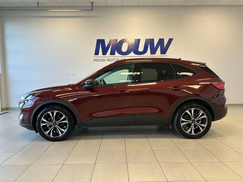 Used 2021 Ford Escape SE w/ SE Sport Appearance Package image 1