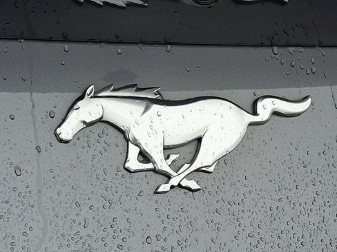 Certified 2024 Ford Mustang Premium image 28