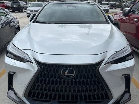 Used 2025 Lexus NX 350h AWD w/ Cold Area Package image 6