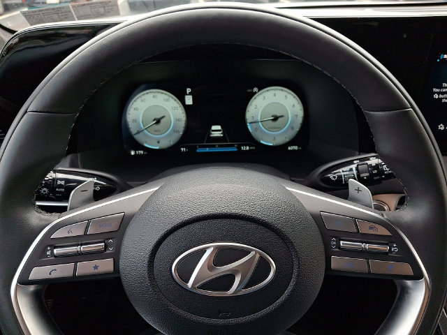 Used 2025 Hyundai Palisade Calligraphy AWD/4WD image 20