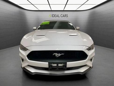 Used 2019 Ford Mustang Premium RWD image 2