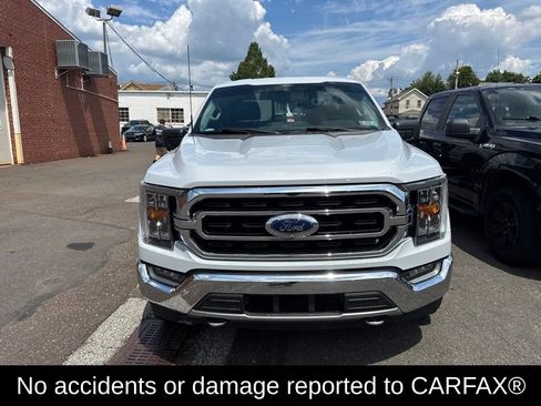 Used 2021 Ford F150 XLT w/ Equipment Group 302A High AWD/4WD image 2