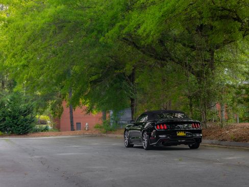 Used 2019 Ford Mustang Premium w/ Equipment Group 201A RWD image 42