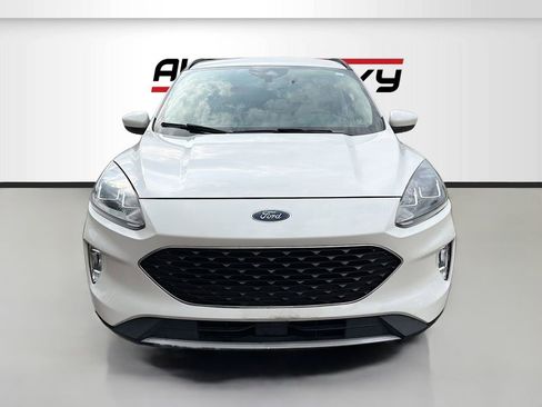 Used 2020 Ford Escape SEL image 2