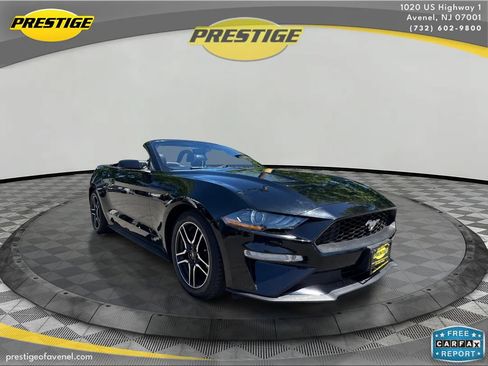 Used 2019 Ford Mustang Premium RWD image 3