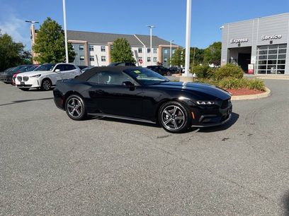 Used 2024 Ford Mustang Premium