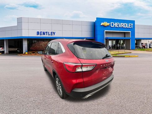 Used 2020 Ford Escape SEL image 4