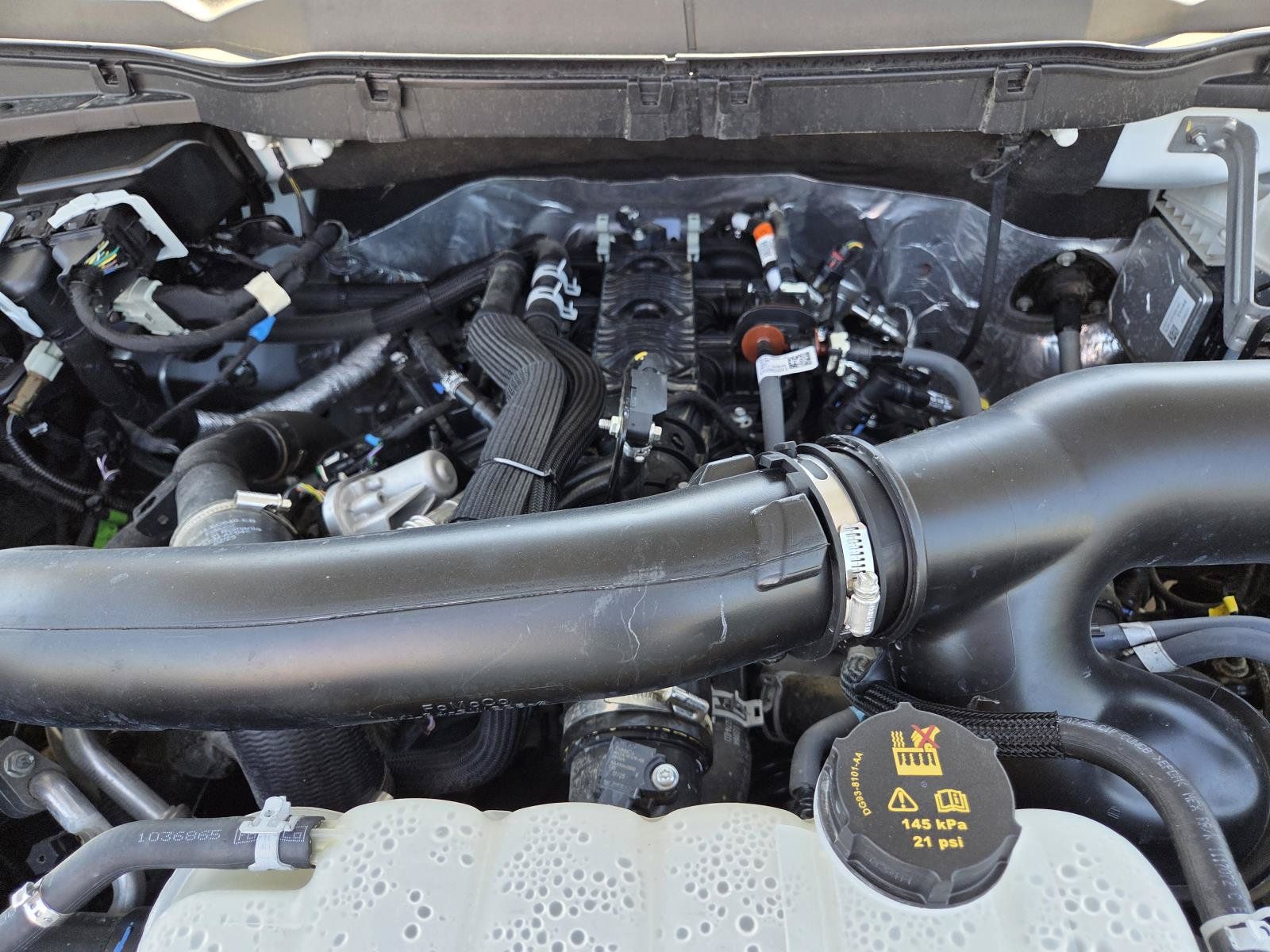Used 2025 Ford F150 XLT w/ Equipment Group 301A Standard AWD/4WD image 23