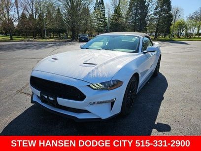 Used 2019 Ford Mustang Premium