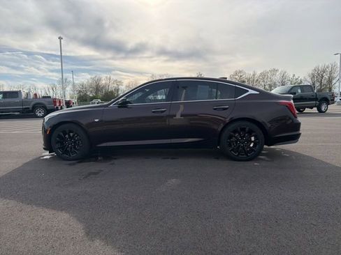 Used 2021 Cadillac CT5 Premium Luxury image 12