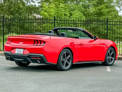 Used 2025 Ford Mustang Premium