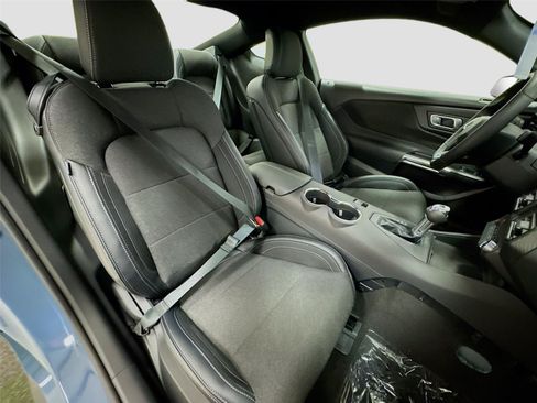 New 2026 Ford Mustang Coupe w/ Mustang Nite Pony Package RWD image 25