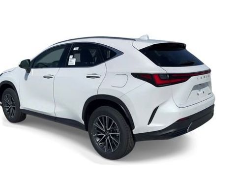 Used 2024 Lexus NX 250 250 Premium image 6