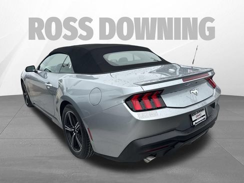 Used 2025 Ford Mustang Premium RWD image 6