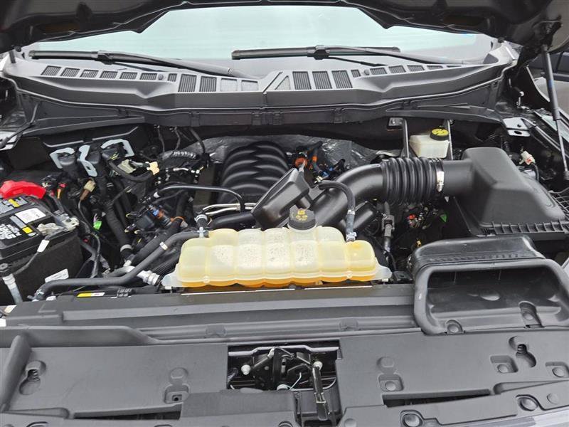 Used 2024 Ford F150 STX AWD/4WD image 29