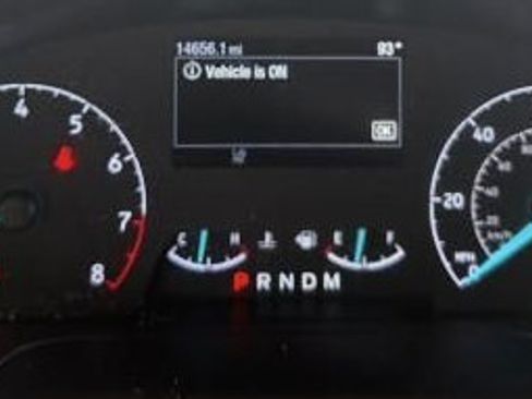 Used 2025 Ford Transit 250 Low Roof w/ Exterior Upgrade Package RWD image 7
