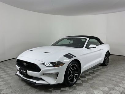 Used 2023 Ford Mustang Premium w/ Equipment Group 201A