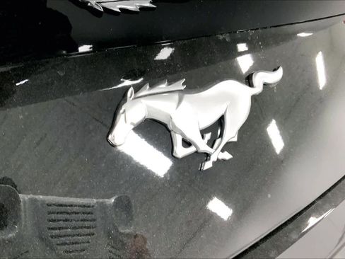 New 2026 Ford Mustang EcoBoostﾮ Fastback image 13