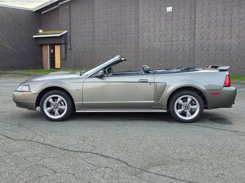 Used 2002 Ford Mustang GT image 8
