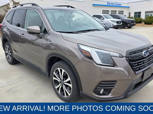 Used 2024 Subaru Forester Limited image 7