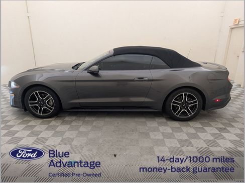 Used 2018 Ford Mustang Premium w/ Equipment Group 201A RWD image 10