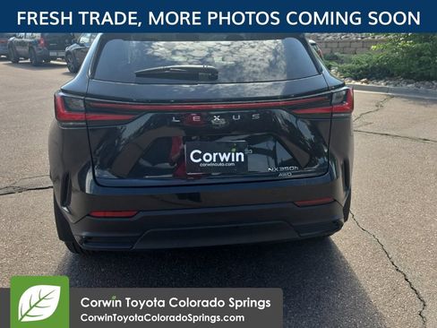 Used 2024 Lexus NX 350h AWD image 7