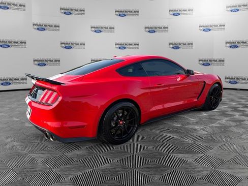 Used 2019 Ford Mustang Shelby GT350 RWD image 5