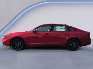 New 2025 Honda Accord SE video 3