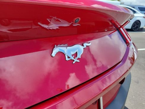 Used 2024 Ford Mustang Premium image 5