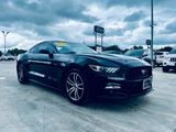 Used 2016 Ford Mustang Premium w/ Equipment Group 201A image 6
