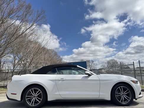 Used 2015 Ford Mustang Premium image 5