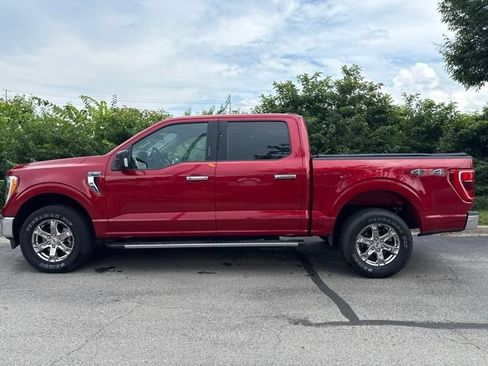 Used 2021 Ford F150 XLT w/ Equipment Group 302A High AWD/4WD image 5