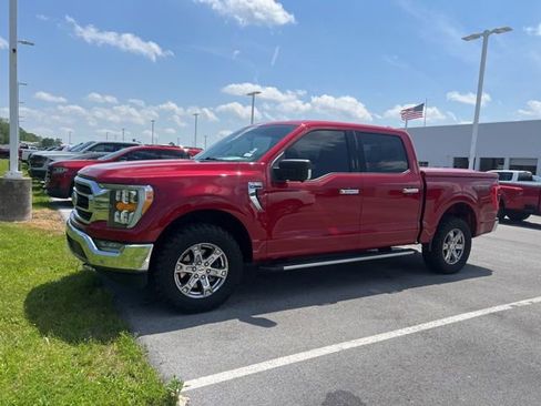 Used 2021 Ford F150 XLT w/ Equipment Group 302A High AWD/4WD image 2