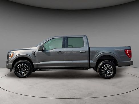 Used 2023 Ford F150 XLT w/ Equipment Group 302A High AWD/4WD image 8