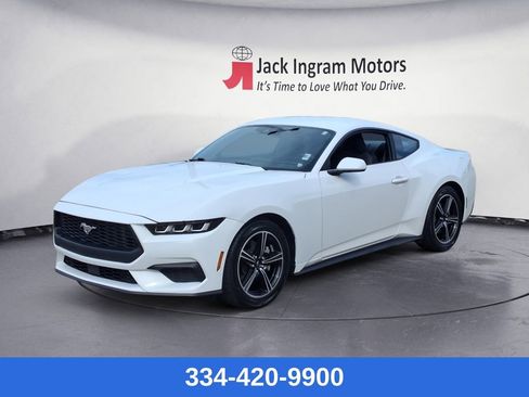 Used 2024 Ford Mustang Coupe image 1