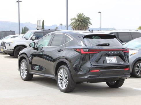 Certified 2025 Lexus NX 350h AWD w/ Accessory Package (Z2) image 20