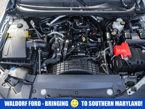 Used 2023 Ford Ranger XLT w/ Equipment Group 301A Mid image 22