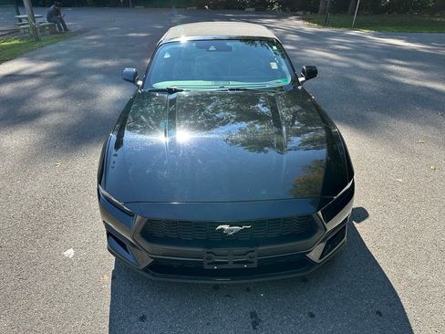 Used 2024 Ford Mustang Premium image 9