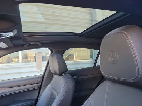 Used 2023 Alfa Romeo Stelvio Ti image 12