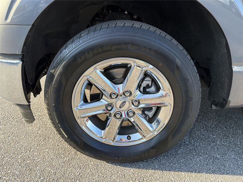 Used 2025 Ford F150 XLT w/ Equipment Group 301A Standard RWD image 9