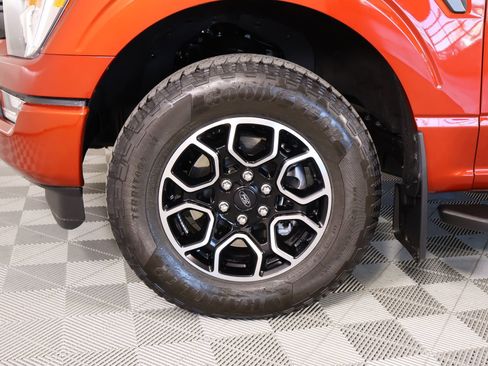 Used 2023 Ford F150 XLT w/ Equipment Group 302A High image 19