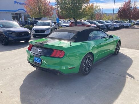 Used 2019 Ford Mustang Premium w/ Equipment Group 201A image 6