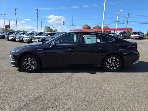 New 2026 Hyundai Sonata Blue image 7