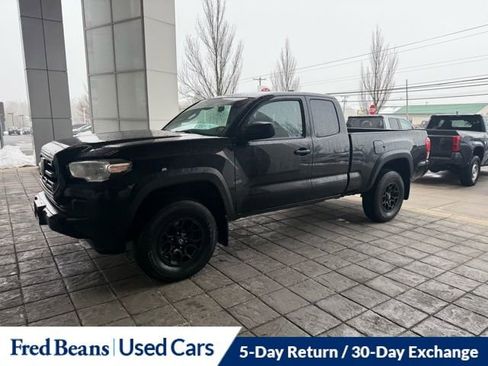Used 2019 Toyota Tacoma SR w/ SX Package image 16